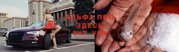 спиды Армянск