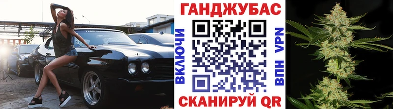 Бошки Шишки планчик  Ельня 